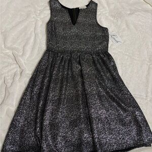Elegant Black and Silver Women’s Mini Dress